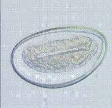 Parasitose intestinale (Oxyures)