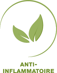 Anti inflammatoire