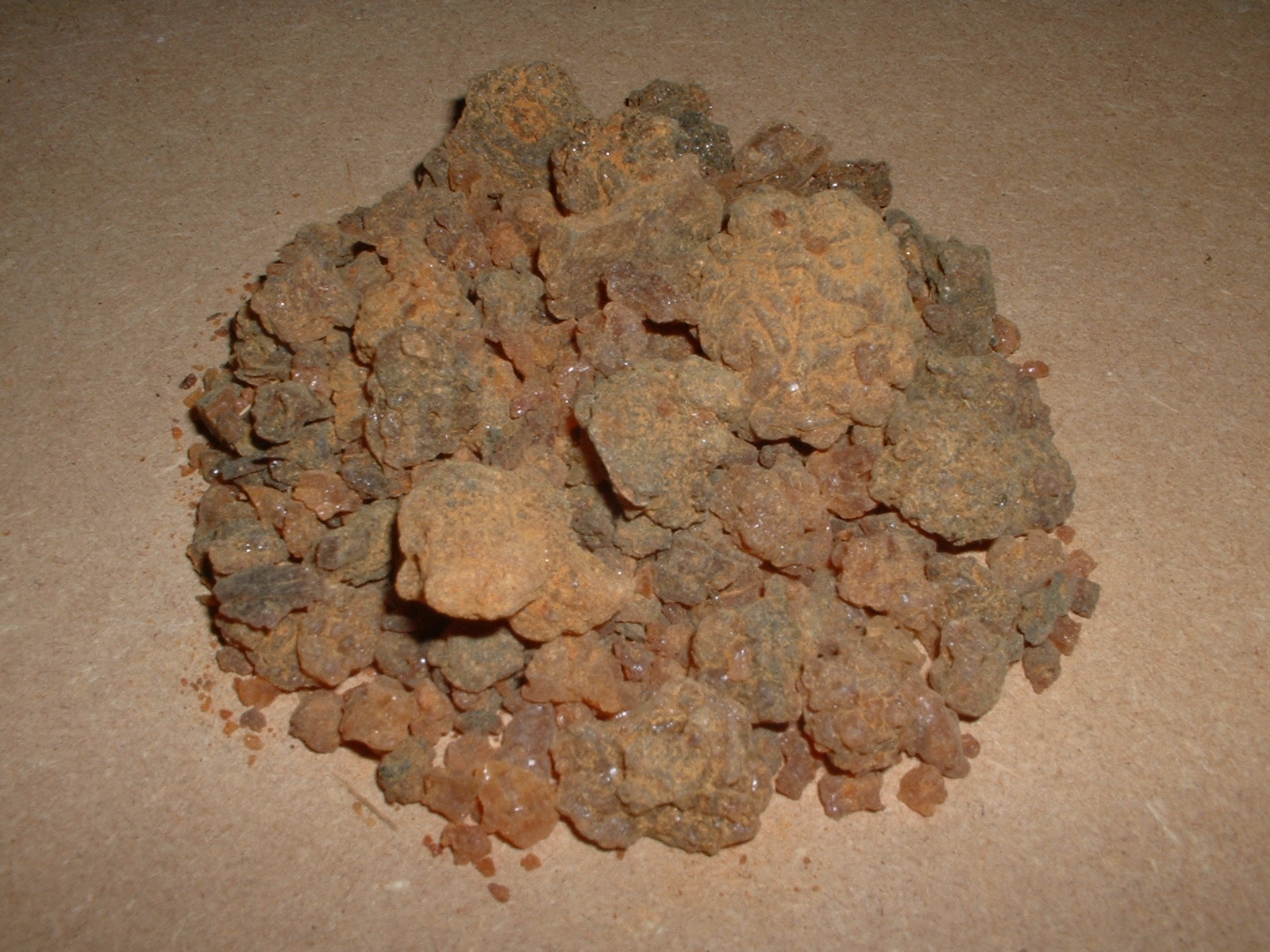 Commiphora myrrha