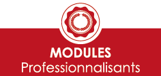 Famille de formation famille_professionnalisants