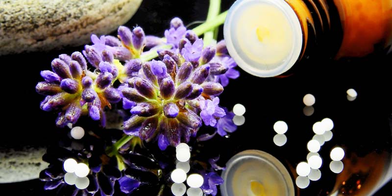 Naturopathie 2ère année : Conseiller en produits naturels niveau 2