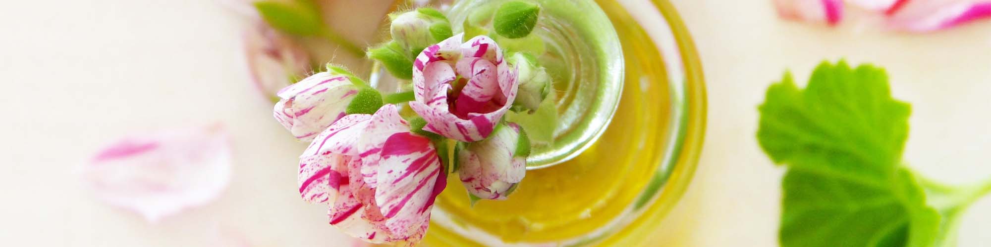 Complet Aroma Certificat d'Aromatologue Myrtéa
