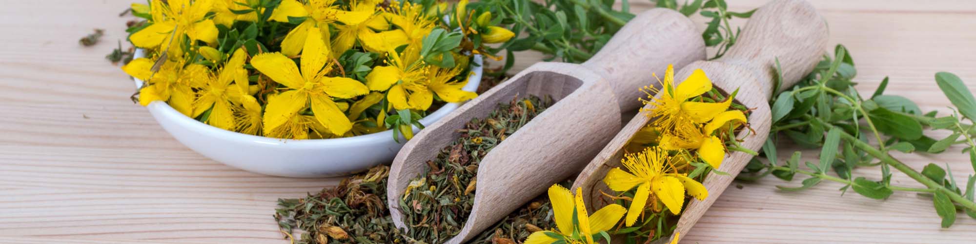 Naturopathe certifié Myrtéa